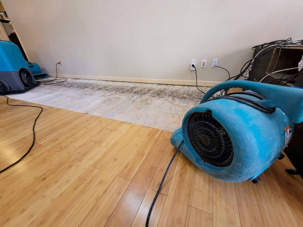 Professional Basement Flood Cleanup technician working in Jonesville, LA